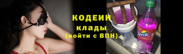 СК Кодинск