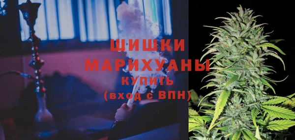 мет Коряжма